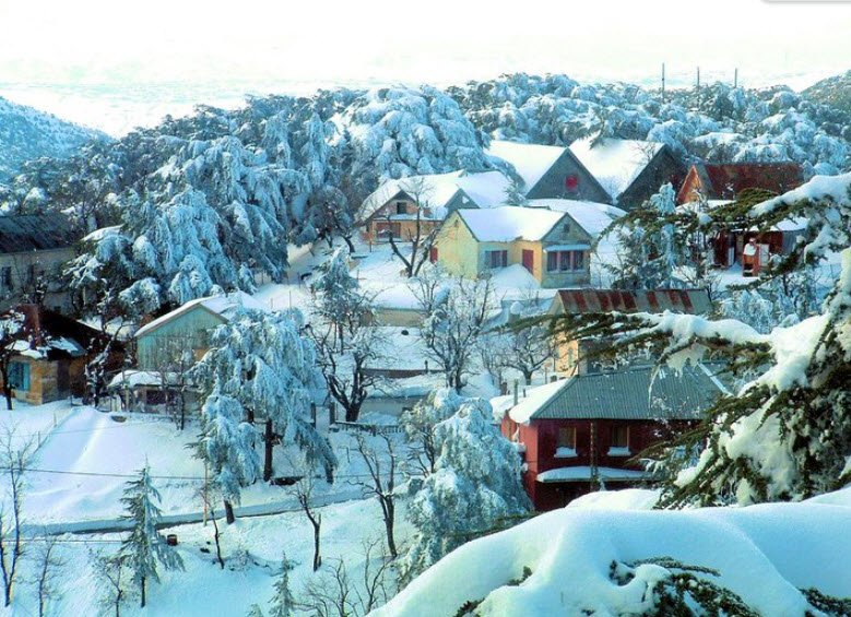 Chrea National Park, Blida, Blida Province, Algeria